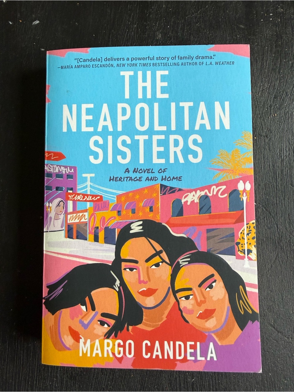 Neapolitan sisters—adult fiction novel by Margo Candela